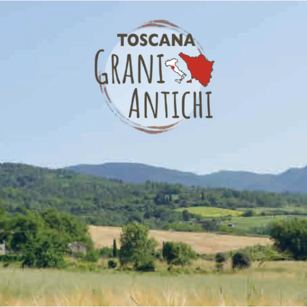 colline-toscana-genuino